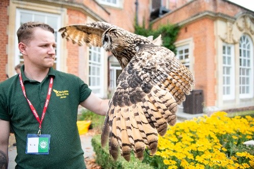 Berkshire Birds of Prey