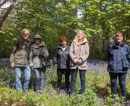 Waltham Place Bluebells