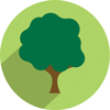 Year of the Tree logo
